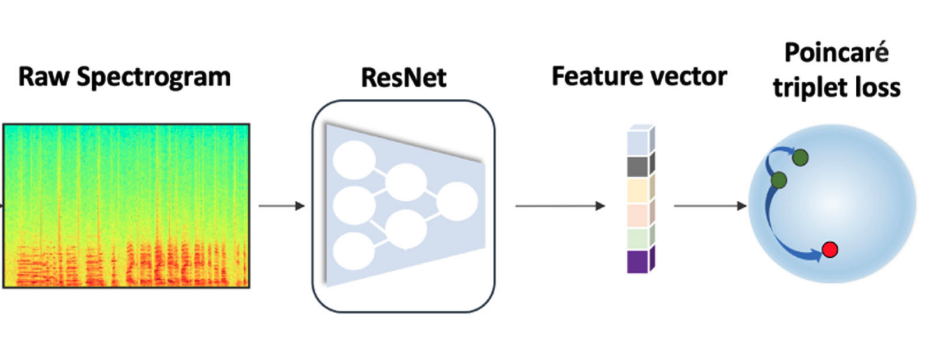Lightweight Speaker Recognition in Poincaré Spaces
